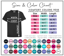 Load image into Gallery viewer, Collegiate Pennant Flags-Youth Sizing